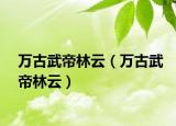 万古武帝林云（万古武帝林云）