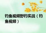 钓鱼视频野钓实战（钓鱼视频）