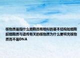 核物质是指什么细胞具有相似的基本结构如细胞膜细胞质与遗传有关的核物质为什么要填充核物质而不是DNA