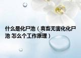 什么是化尸池（禽畜无害化化尸池 怎么个工作原理）