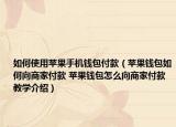 如何使用苹果手机钱包付款（苹果钱包如何向商家付款 苹果钱包怎么向商家付款教学介绍）