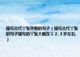 描写古代丫鬟外貌的句子（描写古代丫鬟的句子描写的丫鬟大概在１２,３岁左右,）