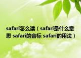 safari怎么读（safari是什么意思 safari的音标 safari的用法）