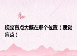 视觉盲点大概在哪个位置（视觉盲点）