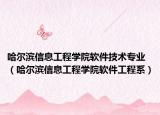 哈尔滨信息工程学院软件技术专业（哈尔滨信息工程学院软件工程系）
