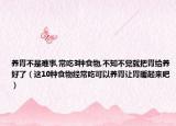 养胃不是难事,常吃3种食物,不知不觉就把胃给养好了（这10种食物经常吃可以养胃让胃暖起来吧）
