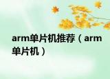 arm单片机推荐（arm单片机）