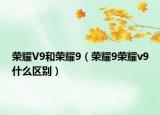 荣耀V9和荣耀9（荣耀9荣耀v9什么区别）