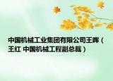 中国机械工业集团有限公司王晖（王红 中国机械工程副总裁）