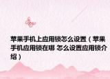苹果手机上应用锁怎么设置（苹果手机应用锁在哪 怎么设置应用锁介绍）