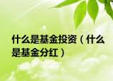 什么是基金投资（什么是基金分红）