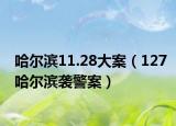 哈尔滨11.28大案（127哈尔滨袭警案）