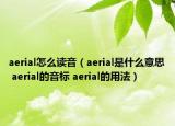 aerial怎么读音（aerial是什么意思 aerial的音标 aerial的用法）