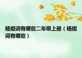 杨组词有哪些二年级上册（杨组词有哪些）