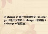in charge of 是什么意思中文（in charge of是什么意思 in charge of的音标 in charge of的用法）