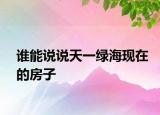 谁能说说天一绿海现在的房子