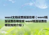 word文档设置纸型在哪（word纸型设置在哪里找 word纸型设置在哪里找到介绍）