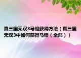 真三国无双3马镫获得方法（真三国无双3中如何获得马镫（全部））