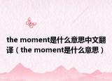 the moment是什么意思中文翻译（the moment是什么意思）