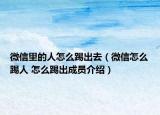 微信里的人怎么踢出去（微信怎么踢人 怎么踢出成员介绍）