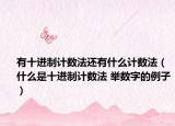 有十进制计数法还有什么计数法（什么是十进制计数法 举数字的例子）