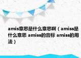 amis意思是什么意思啊（amiss是什么意思 amiss的音标 amiss的用法）