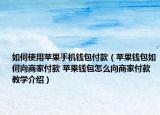 如何使用苹果手机钱包付款（苹果钱包如何向商家付款 苹果钱包怎么向商家付款教学介绍）