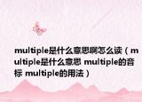 multiple是什么意思啊怎么读（multiple是什么意思 multiple的音标 multiple的用法）