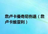 詹卢卡曼奇尼伤退（詹卢卡维亚利）
