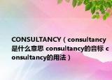 CONSULTANCY（consultancy是什么意思 consultancy的音标 consultancy的用法）