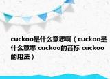 cuckoo是什么意思啊（cuckoo是什么意思 cuckoo的音标 cuckoo的用法）