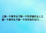 上面一个草字头下面一个凡字读什么（上面一个草字头下面一个凡字念什么?）