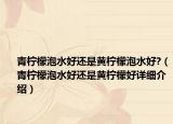 青柠檬泡水好还是黄柠檬泡水好?（青柠檬泡水好还是黄柠檬好详细介绍）