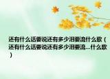 还有什么话要说还有多少泪要流什么歌（还有什么话要说还有多少泪要流...什么歌）