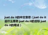 just do it的中文意思（just do it是什么意思 just do it的音标 just do it的用法）