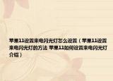 苹果11设置来电闪光灯怎么设置（苹果11设置来电闪光灯的方法 苹果11如何设置来电闪光灯介绍）