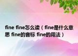 fine fine怎么读（fine是什么意思 fine的音标 fine的用法）