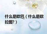 什么是欧巴（什么是欧拉图?）