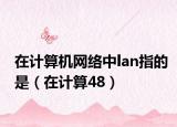 在计算机网络中lan指的是（在计算48）