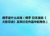 纲手是什么动漫（纲手 日本漫画《火影忍者》及其衍生作品中的角色）