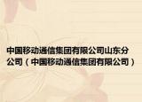 中国移动通信集团有限公司山东分公司（中国移动通信集团有限公司）