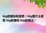 big的音标和意思（big是什么意思 big的音标 big的用法）