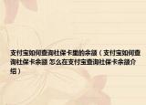 支付宝如何查询社保卡里的余额（支付宝如何查询社保卡余额 怎么在支付宝查询社保卡余额介绍）