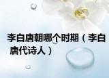 李白唐朝哪个时期（李白 唐代诗人）