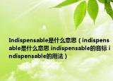 Indispensable是什么意思（indispensable是什么意思 indispensable的音标 indispensable的用法）