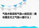 气垫水粉霜和气垫cc的区别（美妆普及文之气垫cc是什么）