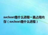 svchost是什么进程一直占用内存（svchost是什么进程）