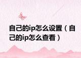 自己的ip怎么设置（自己的ip怎么查看）