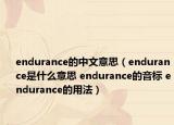 endurance的中文意思（endurance是什么意思 endurance的音标 endurance的用法）