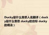 Ducky是什么意思人名翻译（ducky是什么意思 ducky的音标 ducky的用法）